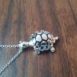 Silver Turtle necklace