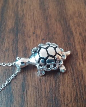 Silver Turtle necklace