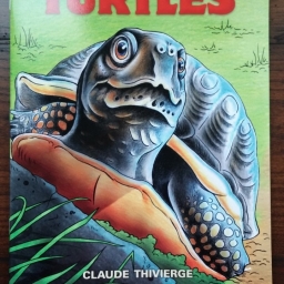 Turtle Coloring Book