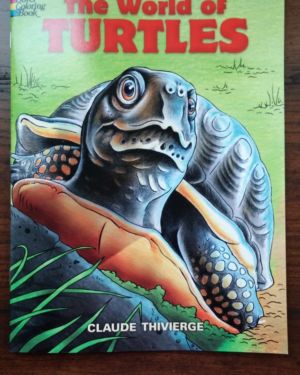 Turtle Coloring Book