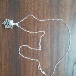 Silver Turtle necklace