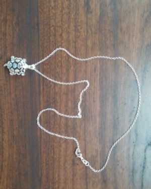 Silver Turtle necklace